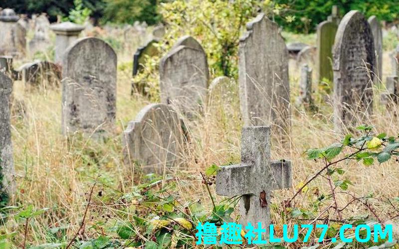 梦见汾