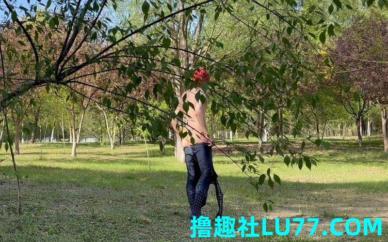 梦见裤子在动