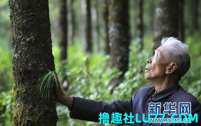 梦见镇书记