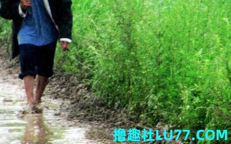 梦见有泥土路 梦见有泥土路