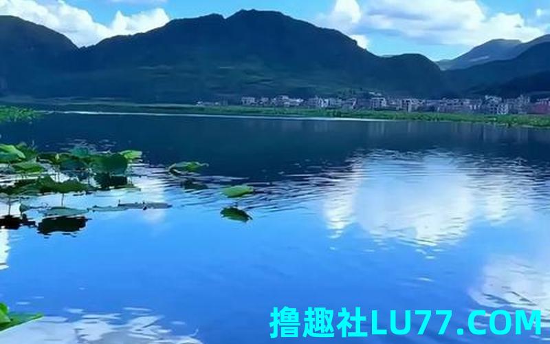 梦见水白云 梦见水白云