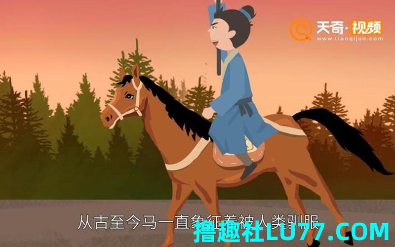 梦见被马追 很害怕