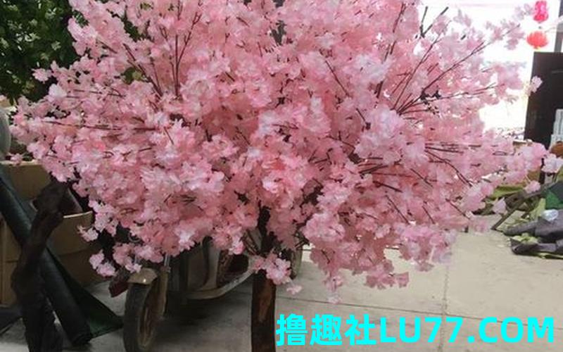 梦见假树假花