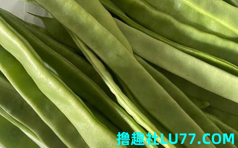 梦见菜 梦见菜