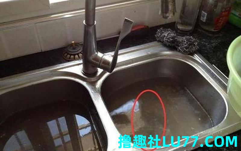 梦见卫生间下水道堵了