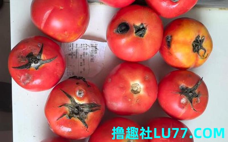 梦见腐烂的西红柿