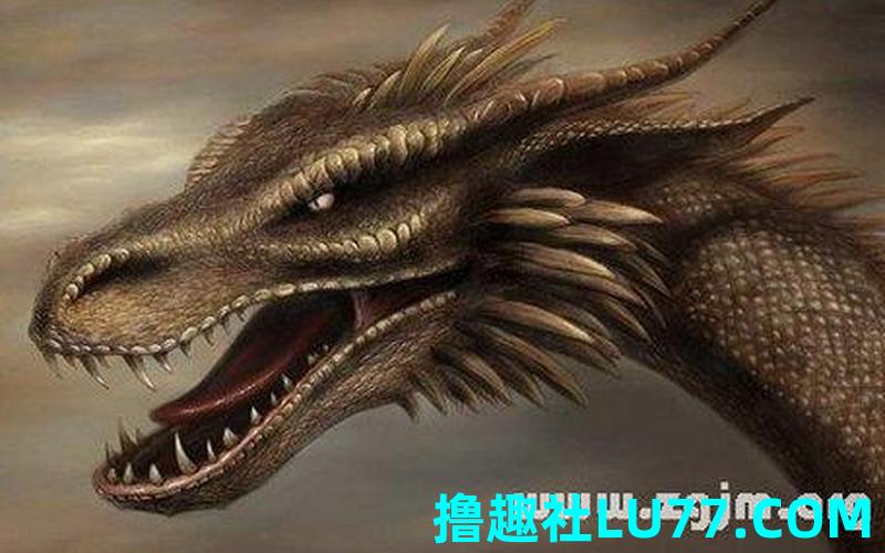 梦见龙或蛇 梦见龙或蛇