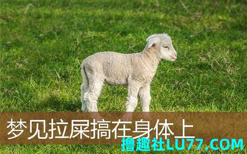 梦见动物拉屎在我身上