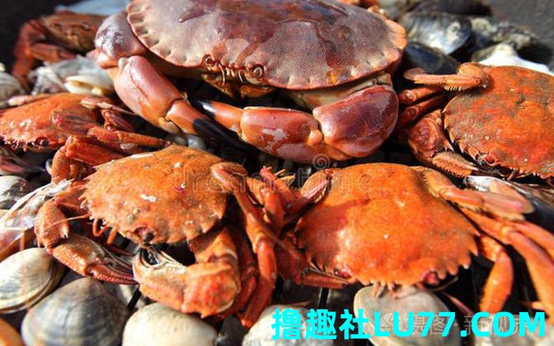 梦见蟹头虾 梦见蟹头虾