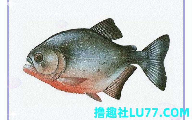 梦见蛋中鱼 梦见蛋中鱼