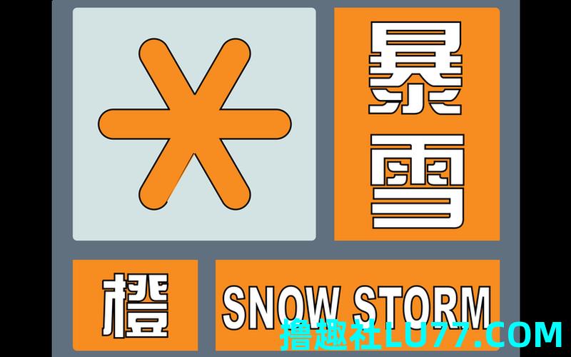 梦见下暴雪