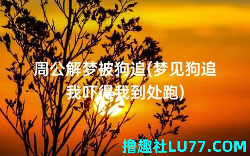 梦见被野狗追