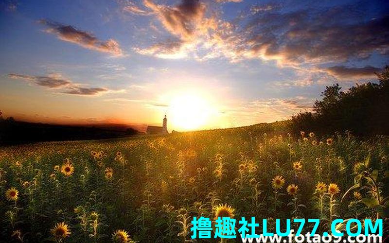 梦见自己的主管 梦见自己的主管