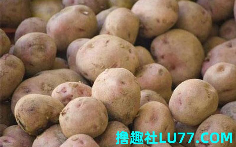 做梦梦见土豆怎么回事 做梦梦见土豆怎么回事