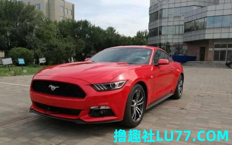 梦见轿车大马是什么意思