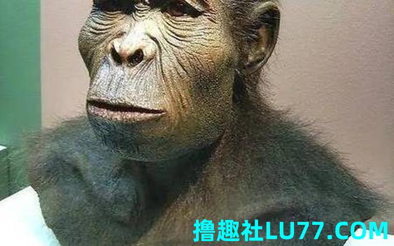 梦见 野人 梦见 野人