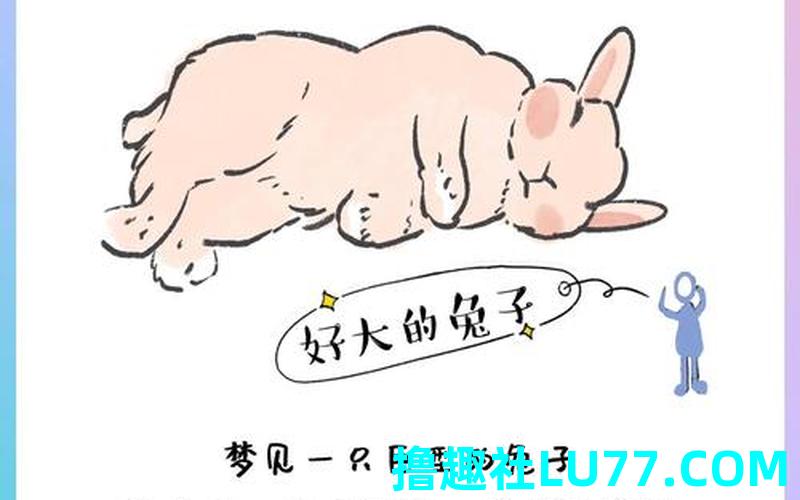 梦见一对白兔