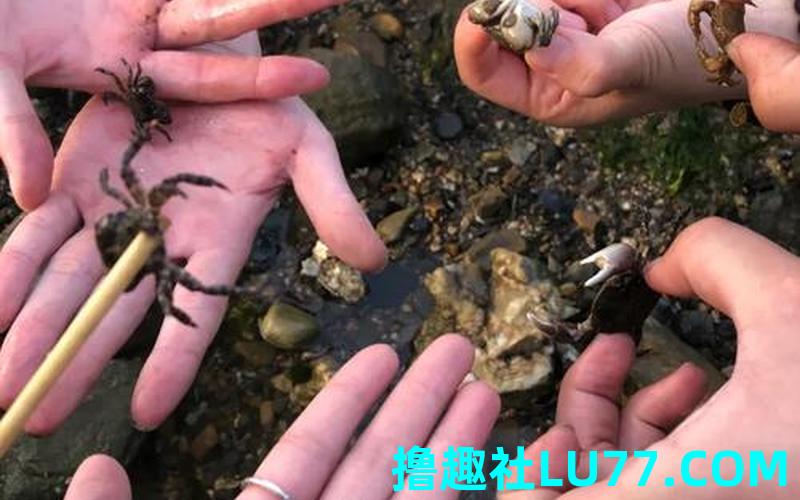梦见海里抓螃蟹是什么意思 梦见海里抓螃蟹是什么意思