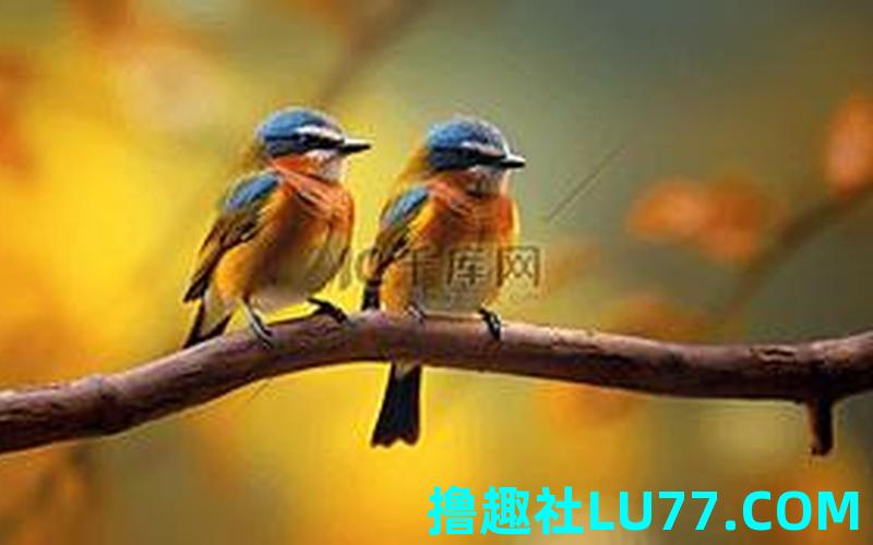梦见一对小鸟 梦见一对小鸟