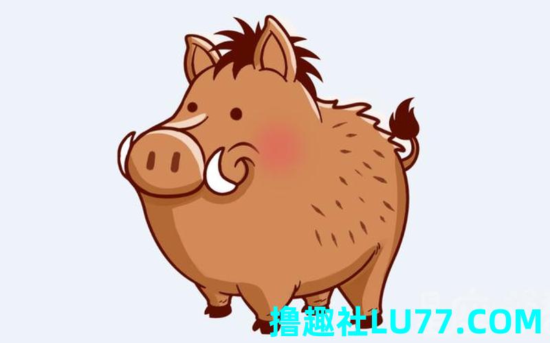 梦见自己买大猪 梦见自己买大猪