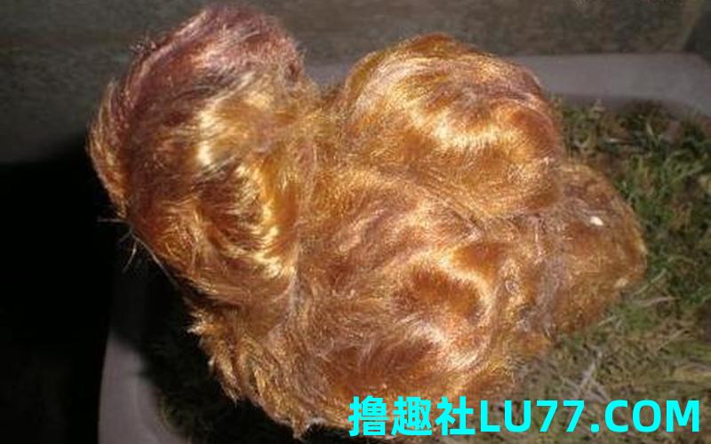 梦见自己汗毛又长又黑