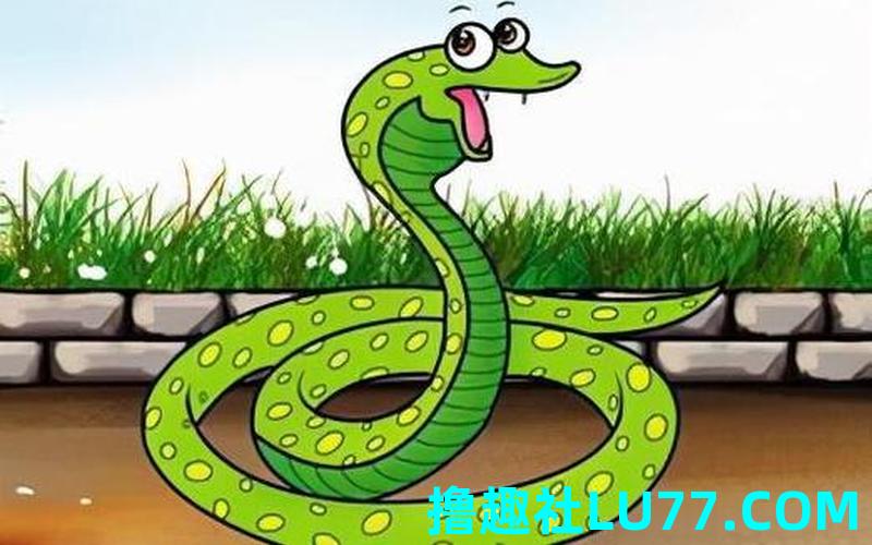 梦见家里一群蛇 梦见家里一群蛇