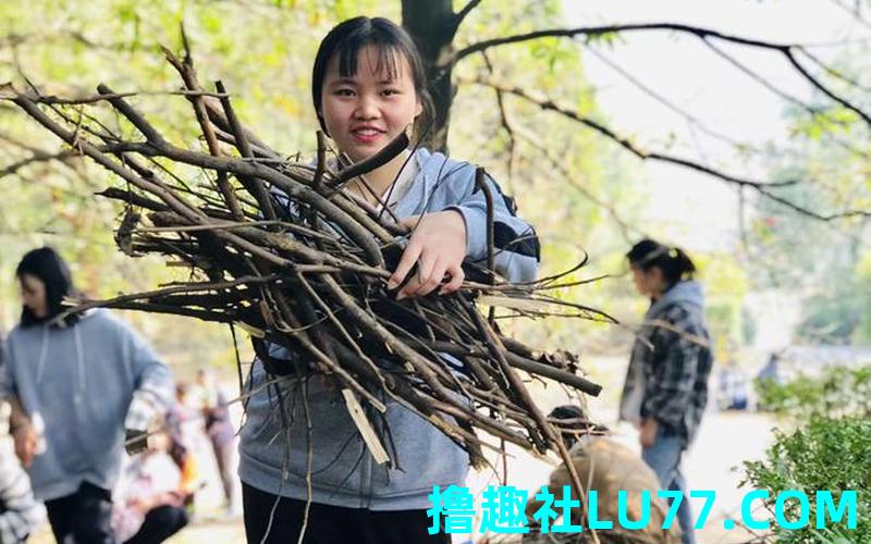 梦见自己上山捡柴