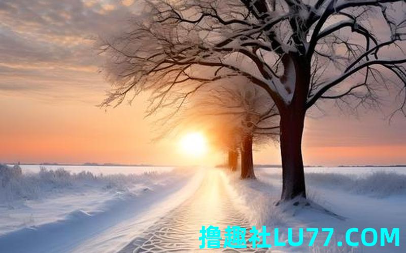 梦见满路积雪