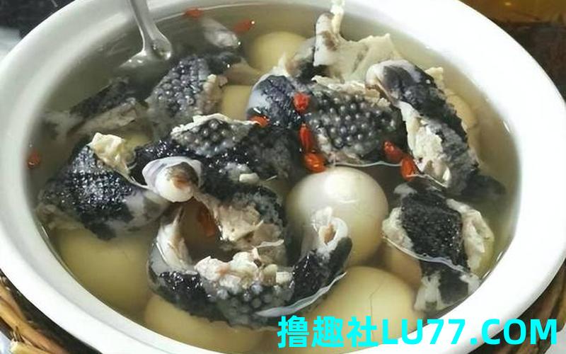 梦见蛇骨汤