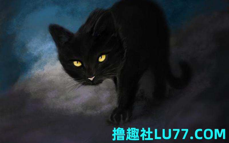 梦见黑猫流产