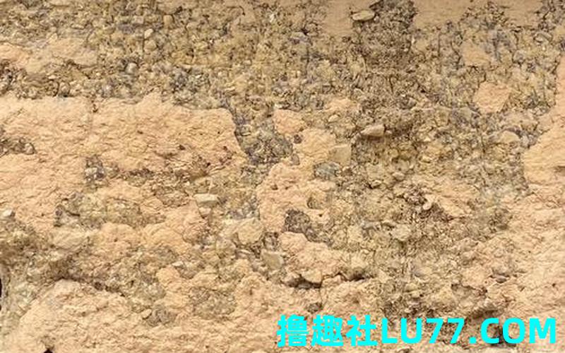 梦见旧土墙 梦见旧土墙