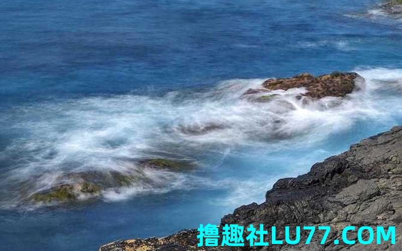 梦见飘