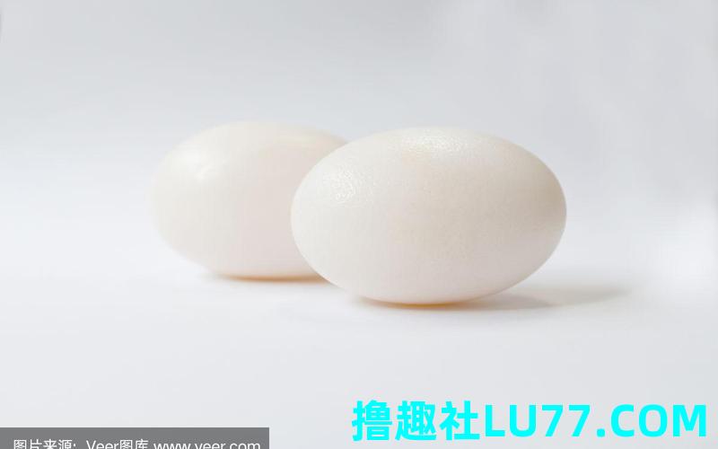 梦见鳄鱼梦见鳄鱼蛋是什么意思