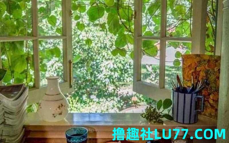 梦见大窗台