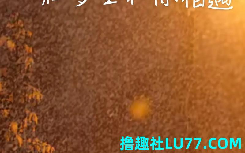 梦见来 梦见来