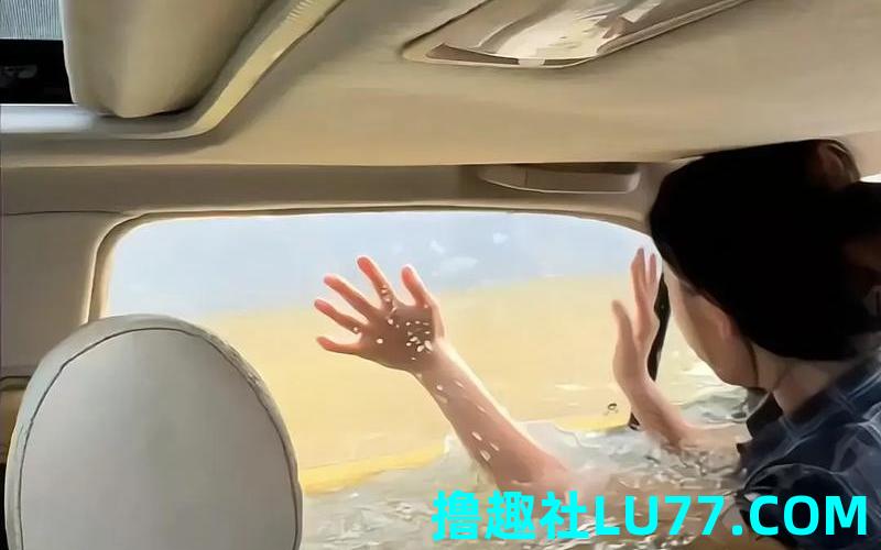 梦见车往水里开 梦见车往水里开