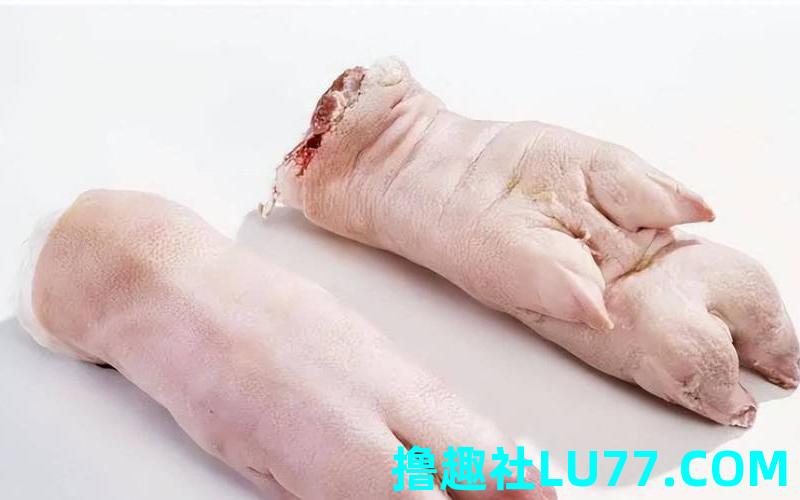 梦见蹄