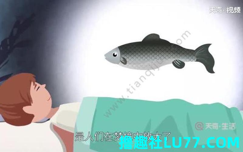 做梦梦见肉鱼 做梦梦见肉鱼