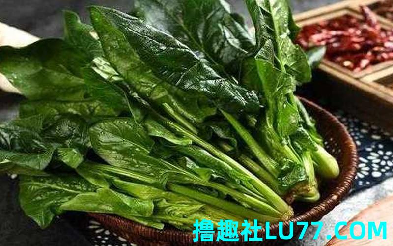梦见绿绿的菜