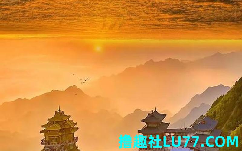 梦见老山君 梦见老山君