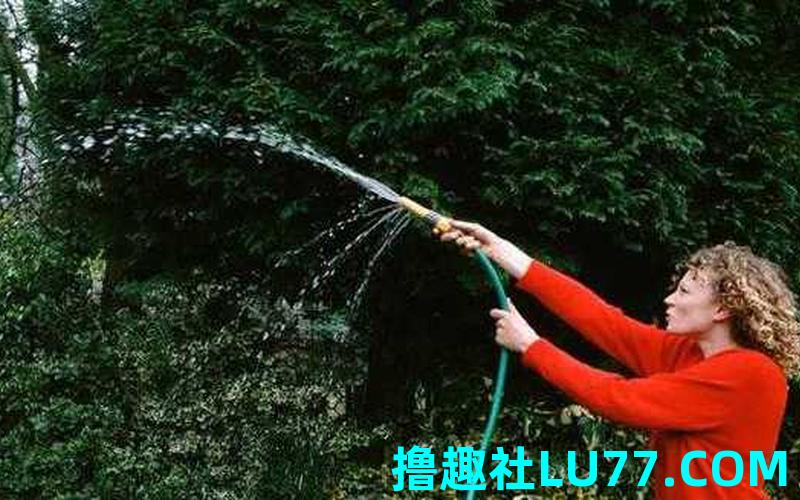 梦见浇地 梦见浇地