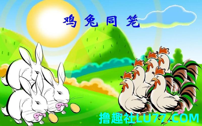 梦见鸡兔 梦见鸡兔