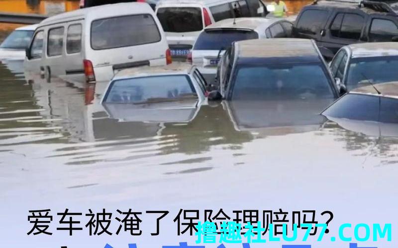 梦见自己车被水淹了 梦见自己车被水淹了