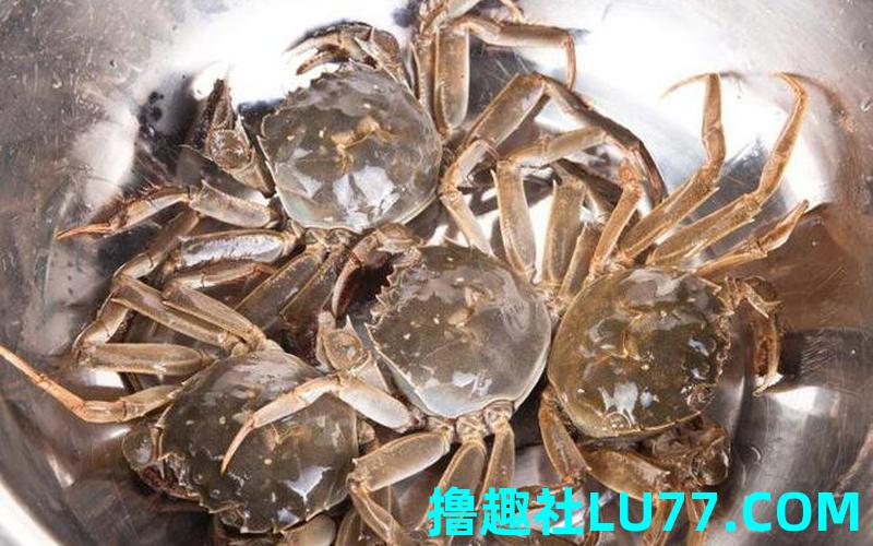 梦见蟹是什么意思