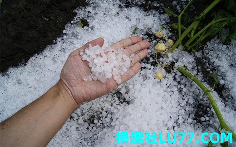 梦见躲冰雹