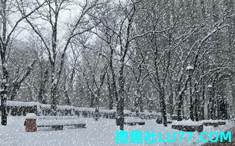 梦见趴雪跟路 梦见趴雪跟路