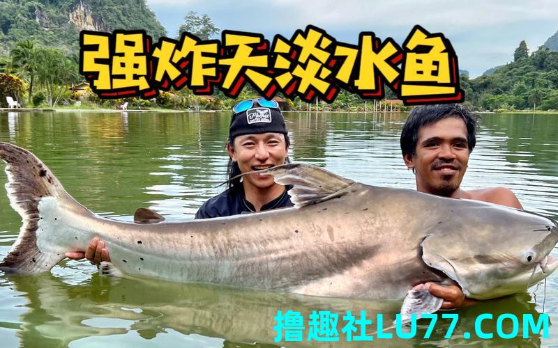 梦见炸鲶鱼