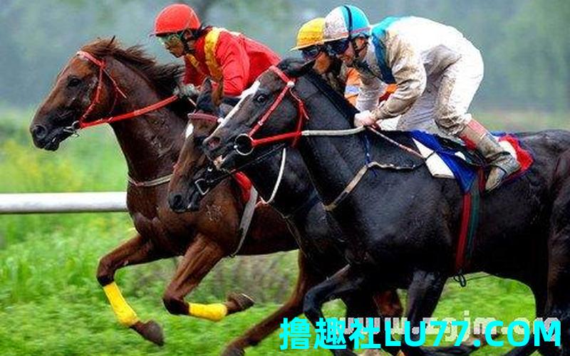 梦见骑着马 梦见骑着马