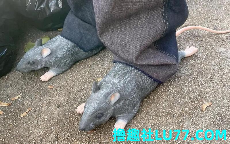 梦见老鼠和鞋 梦见老鼠和鞋