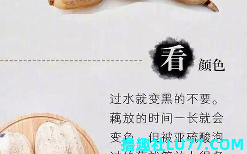 女人梦见莲藕